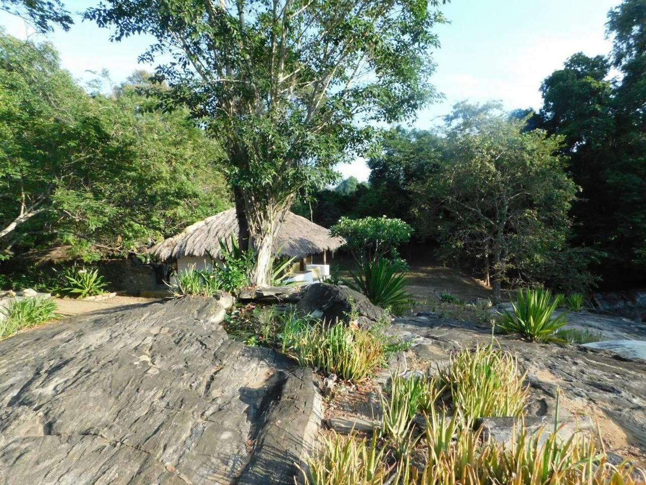 Galapita Eco Lodge Buttala Habitación foto