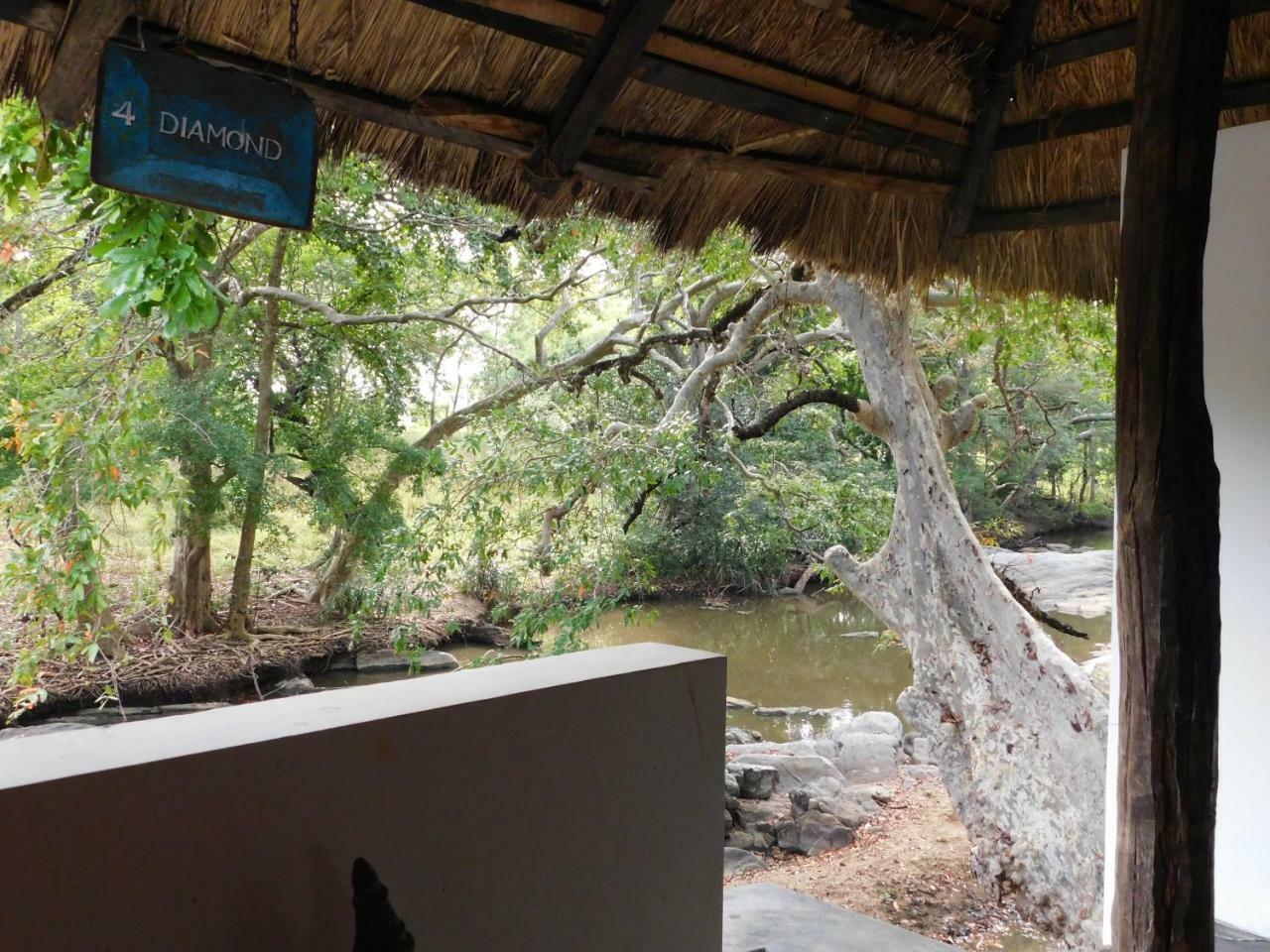 Galapita Eco Lodge Buttala Habitación foto